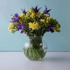 Florabundance Anemone Vase -Dartington Shop anemone spring 2