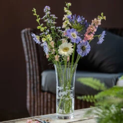 Bloom Trumpet Marguerite Vase 6 Bloom Trumpet Marguerite Vase -Dartington Shop bloom mood 075trump 1