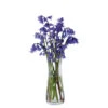 Florabundance Bluebell Vase