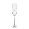 Glitz Celebration Flutes, Set Of 2