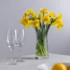 Florabundance Daffodil Vase