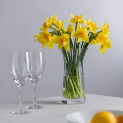 Florabundance Daffodil Vase