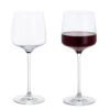 Elevate Wine Glass, Set Of 2