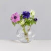 Florabundance Anemone Vase