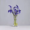 Florabundance Bluebell Vase