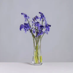Florabundance Bluebell Vase
