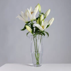 Florabundance Lily Vase