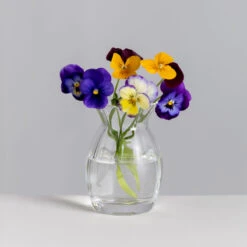 Florabundance Pansy Vase