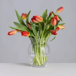 Florabundance Tulip Vase