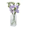 Small Clear Marguerite Vase
