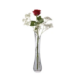 Florabundance Single Rose Vase