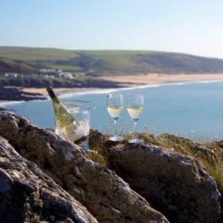 Wine Master White Wine Glass, Set Of 2 -Dartington Shop st1402 p mood 1