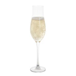 Juliet Champagne Flute, Set Of 4 5 Juliet Champagne Flute, Set Of 4 -Dartington Shop st3580 4 4pk juliet flute full co