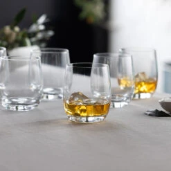 Wine & Dine Tumbler, Set Of 6 -Dartington Shop tumbler wd