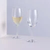 Wine Master White Wine Glass, Set Of 2