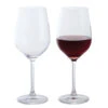 Wine & Bar Red Wine Glass, Set Of 2